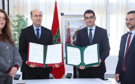 Le Maroc renforce l'encadrement des produits à base de cannabis avec un accord entre l'AMMPS et l'ANRAC