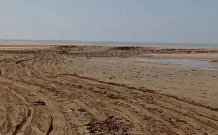 طنجة.. الدرك الملكي يحبط محاولة سرقة رمال الغابة الدبلوماسية