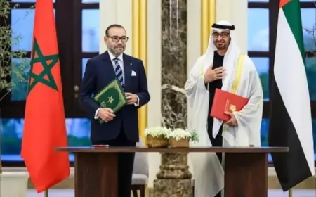 Le Roi Mohammed VI réaffirme la solidarité totale du Maroc avec les Émirats arabes unis