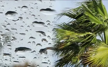 Alerte météo au Maroc : neige, fortes pluies et vents violents attendus dans plusieurs régions