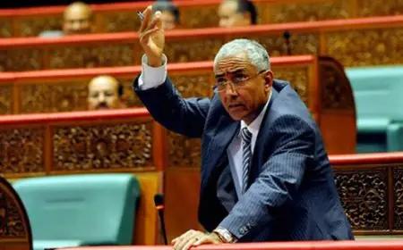إدانة البرلماني السابق إدريس الراضي بأربع سنوات حبسا نافذا وغرامة مالية