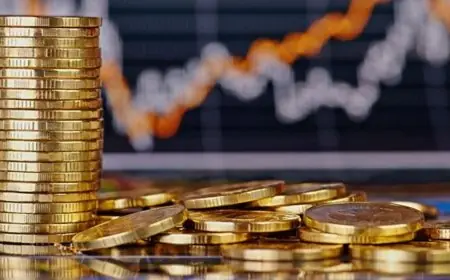 اكتتابات هيئات التوظيف الجماعي تقفز إلى 199,7 مليار درهم في يناير 2026