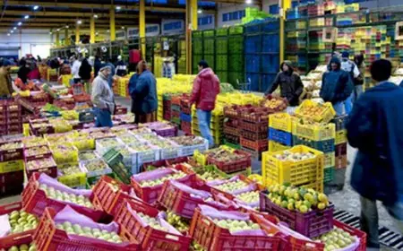 ”الفراقشية” يسيطرون على صفقات كراء أسواق الجملة للخضر والفواكه بسيدي سليمان