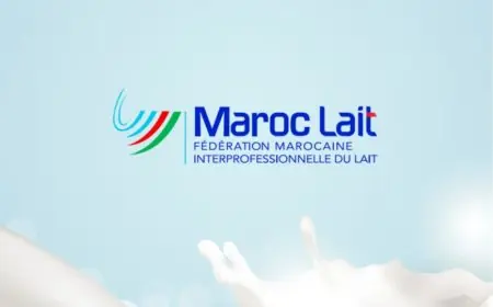 فيدرالية “Maroc Lait” تطلق حملة وطنية للدفاع عن الحليب المغربي بعد إثارة الجدل حول سلامته