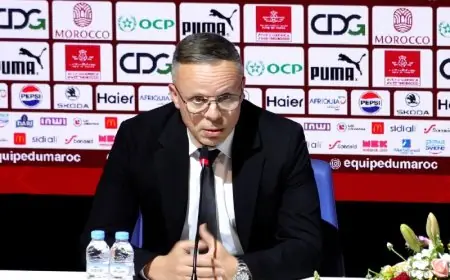 وهبي يثمن تعادل المغرب أمام الإكوادور ويؤكد: "أظهرنا شراسة المستوى العالي"