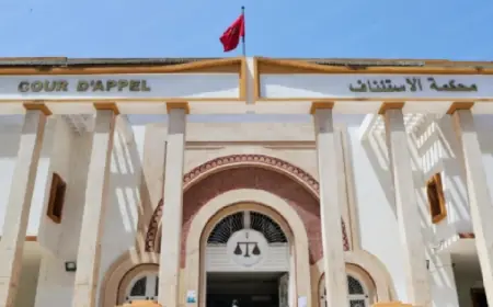 التزوير والاستيلاء على أراضٍ فلاحية يجر نائبيْن سلاليين للتحقيق باستئنافية القنيطرة