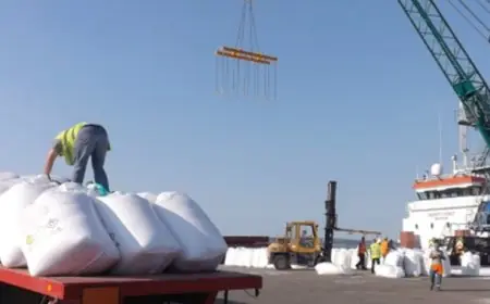 Les Importations de Fertilisants en Argentine en Hausse en 2025