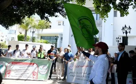ممرضو وتقنيو الصحة بجهة مراكش آسفي يصعدون احتجاجاتهم تضامنا مع زملائهم بالشمال