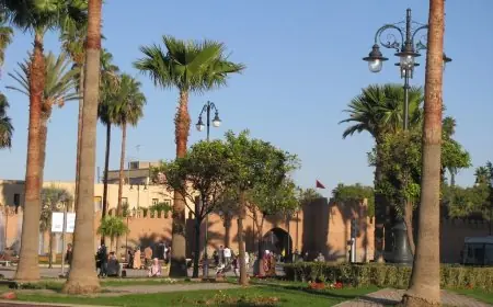 وجدة تنضم رسميا إلى الشبكة الدولية لمدن السلام