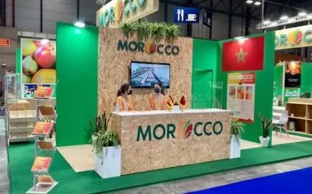 Maroc : Morocco Foodex organise une mission B to B à Marrakech pour booster les exportations agroalimentaires