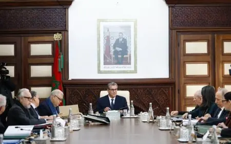مجلس الحكومة يناقش مراسيم جديدة تتعلق بالانتخابات المقبلة