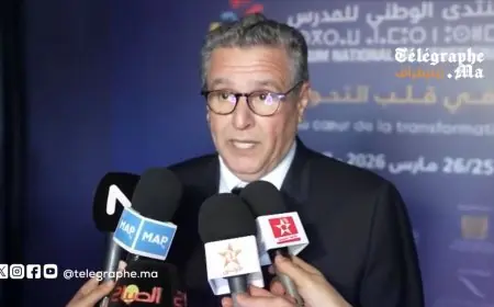 بالفيديو .. أخنوش: الرؤية الحكومية لإصلاح التعليم ترتكز على ثلاثية "المدرسة والأستاذ والتلميذ"