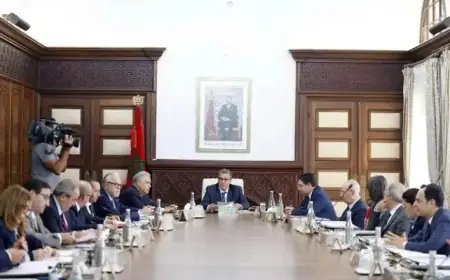 مجلس الحكومة يصادق على مشروع قانون جديد لتنظيم بيع السمك بالجملة