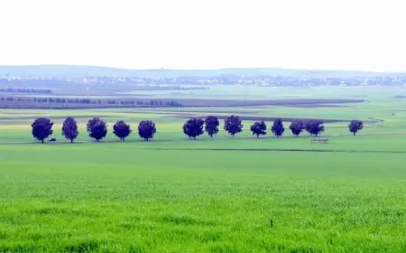 توقعات أحوال الطقس اليوم الجمعة بالمغرب