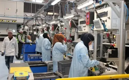 Le Maroc enregistre une forte création d'entreprises en janvier 2026
