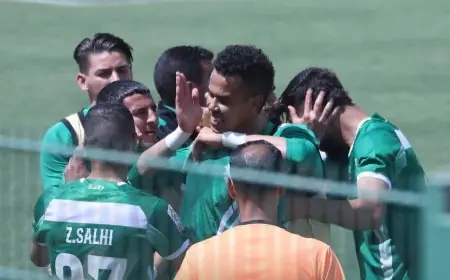 نتائج مباريات الجولة 20 من البطولة الاحترافية القسم الثاني