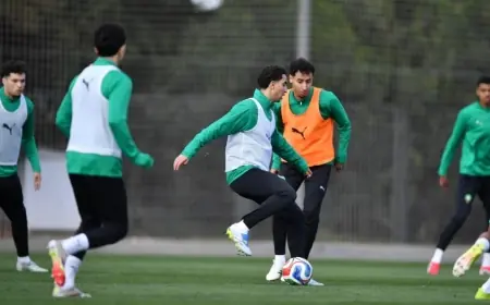 وهبي يفتح الحصة التدريبية الأخيرة للمنتخب الوطني أمام وسائل الإعلام