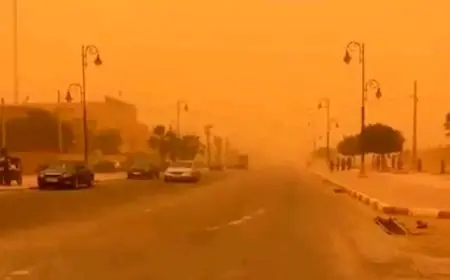 عاصفة رملية تضرب المدن الجنوبية للمملكة