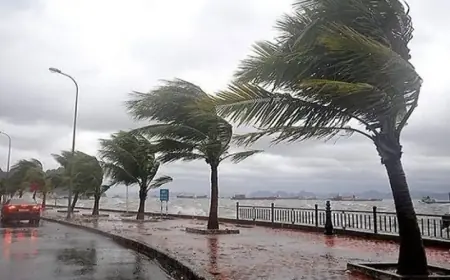 Météo : Des températures froides et des vents violents attendus au Maroc