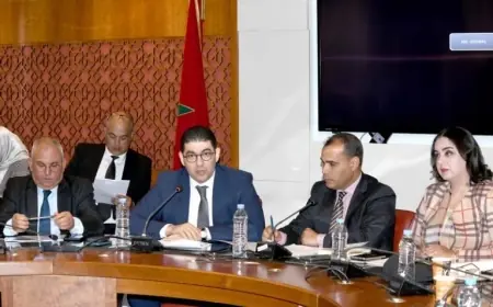 بنسعيد يكشف عن مشروع قانون المجلس الوطني للصحافة ويقلص عدد الأعضاء إلى 17