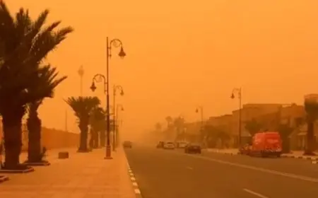 الأرصاد الجوية تحذر من عاصفة رملية واضطرابات في الرؤية بعدد من مناطق المملكة