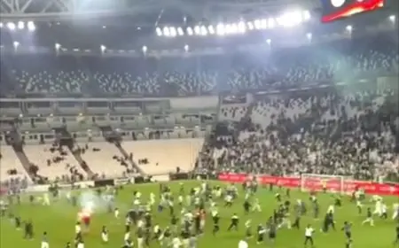 اقتحام جماهير الجزائر لملعب تورينو يفسد أجواء ودية الأوروغواي