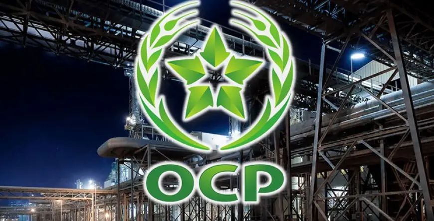 OCP Group enregistre une croissance de 17% de son chiffre d’affaires en 2025 grâce à la reprise de la demande mondiale