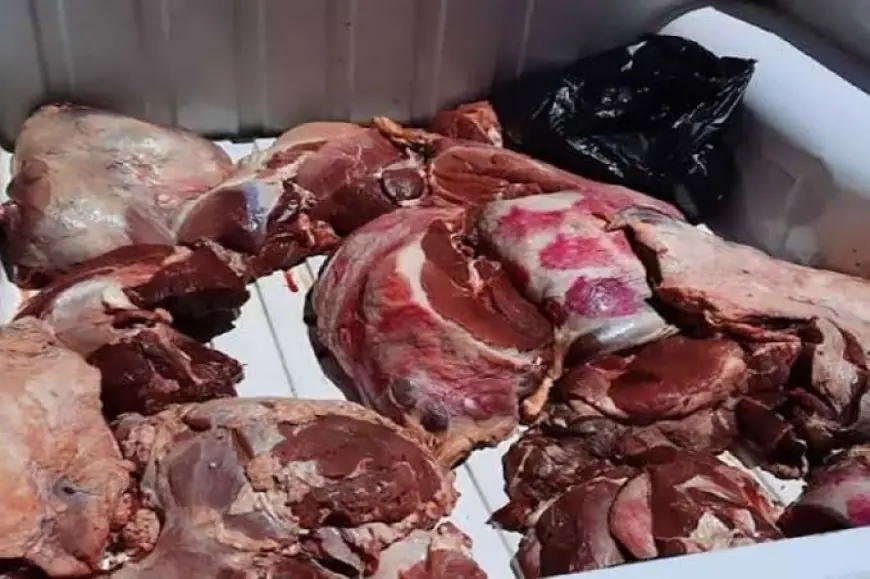 ضبط كميات من اللحوم الفاسدة داخل مجازر بالدار البيضاء