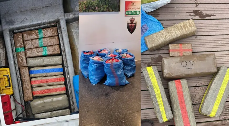 أمن ميناء طنجة يجهض عمليتين لتهريب المخدرات ويوقف 6 أشخاص