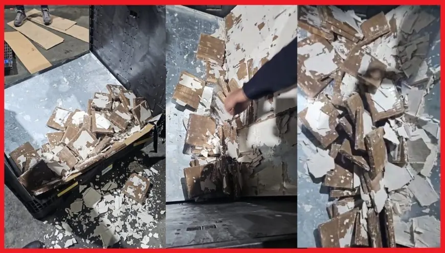 إحباط تهريب طن و140 كيلوغرام من الشيرا بميناء طنجة المتوسط