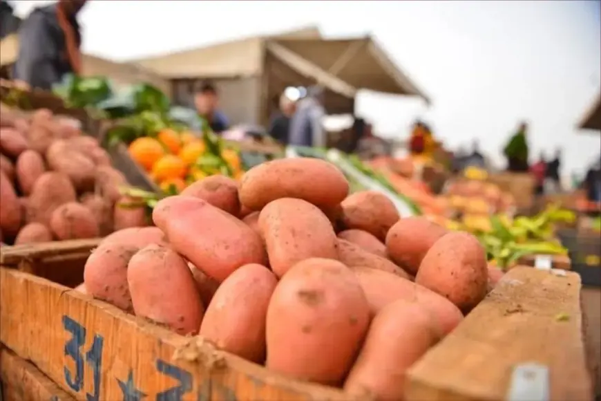 أسعار البطاطس تواصل الارتفاع بالمغرب بعد عيد الفطر