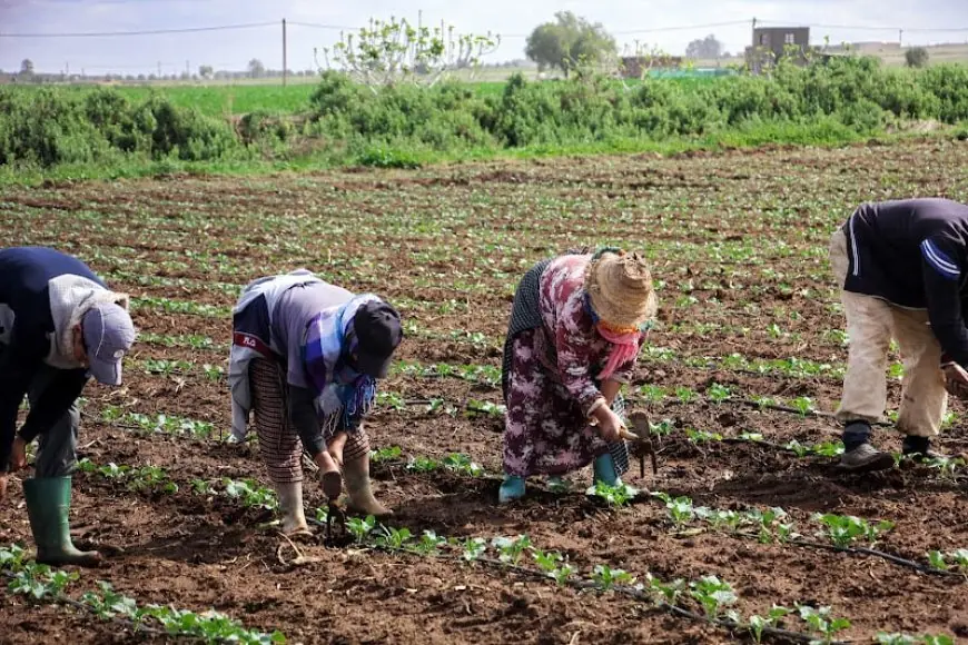 وزيرة الفلاحة بفنلندا تزور المغرب لتعزيز التعاون في الفلاحة والموارد الغابوية