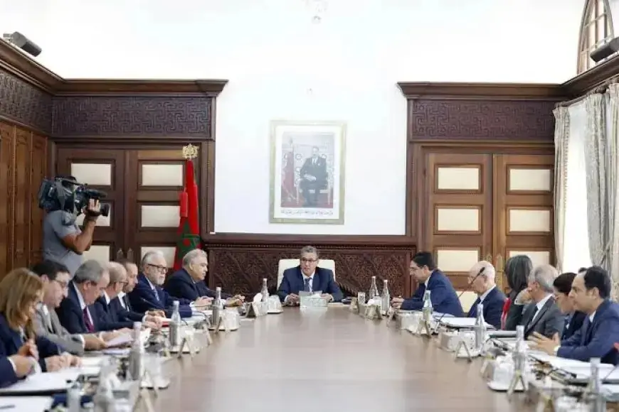 مجلس الحكومة يصادق على مشروع قانون جديد لتنظيم بيع السمك بالجملة