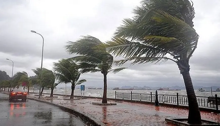 نشرة إنذارية .. رياح قوية وطقس بارد بعدد من مناطق المغرب