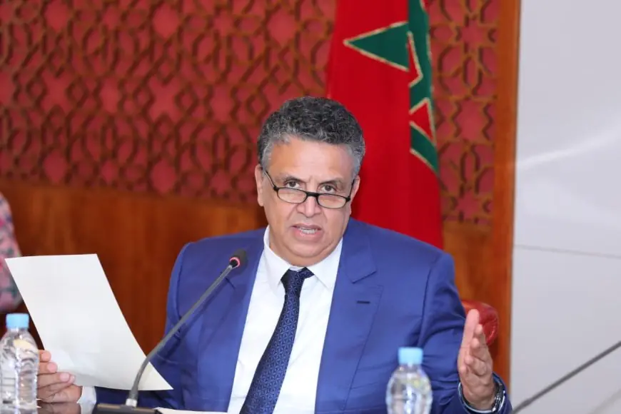 عبد اللطيف وهبي يحذر من ترويج 100 مليار درهم خارج الدورة الاقتصادية ويدعو لإصلاح منظومة الخبرة القضائية