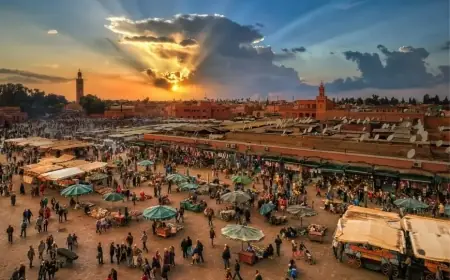 عائدات السياحة بالمغرب ترتفع بنسبة 22% مع نهاية فبراير 2026