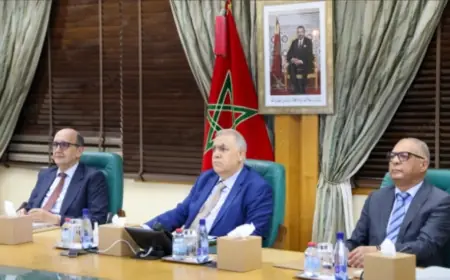 لفتيت: المغرب يجدد دعمه للدول العربية ويدين الاعتداءات الإيرانية