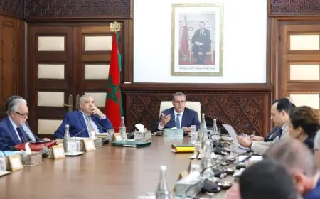 الحكومة تعين عهد أولاد الحسن مديرة لمعهد "باستور"