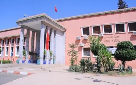 استئنافية مراكش تصدر أحكاما بالسجن النافذ في ملف "بيع شهادات الماستر" بجامعة ابن زهر
