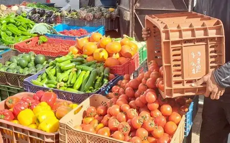أسعار الخضر تواصل الارتفاع بالمغرب وتلهب جيوب المواطنين