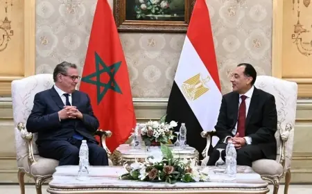 أخنوش يصل إلى القاهرة لترؤس أشغال الدورة الأولى للجنة المتابعة المغربية المصرية