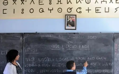 أساتذة الأمازيغية بأزيلال يصعدون احتجاجاتهم بإعلان "أسبوع نضالي" دفاعا عن الحقوق المهنية