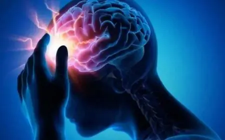 دراسة تكشف إمكانية إبطاء شيخوخة الذاكرة