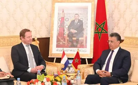 وزير العدل يجري مباحثات رسمية مع نظيره الهولندي لتعزيز الشراكة القضائية والأمنية
