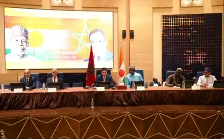 بتعليمات ملكية .. بوريطة يترأس أشغال الدورة الخامسة للجنة المشتركة بين المغرب والنيجر