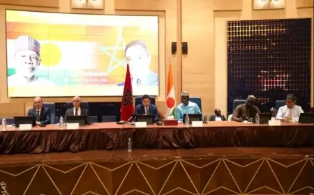 Tenue à Niamey de la 5e commission mixte Maroc Niger