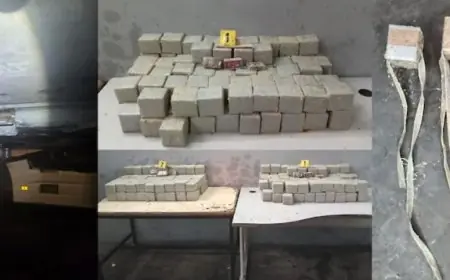 إحباط محاولة تهريب 181 كيلوغراماً من "الشيرا" نحو الخارج بميناء طنجة المتوسط