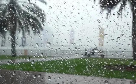 Bulletin météo du week-end : orages avec grêle, neige en montagne et vents violents