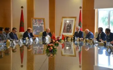 بتعليمات ملكية.. لوديي يتباحث مع وزير بولوني لتعزيز الشراكة العسكرية بين البلدين