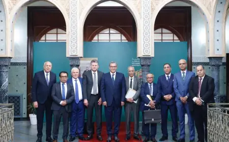 إحالة مشروع قانون المحاماة إلى البرلمان بعد تفاهم مع الهيئات المهنية